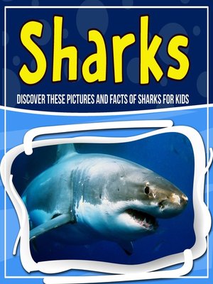 Sharks - ebook